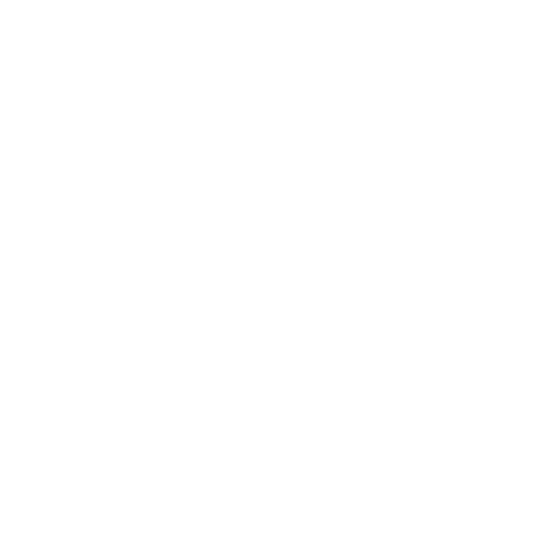Cleaning Services
